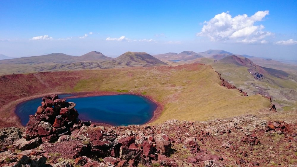 Гора Арагац в Армении Флора