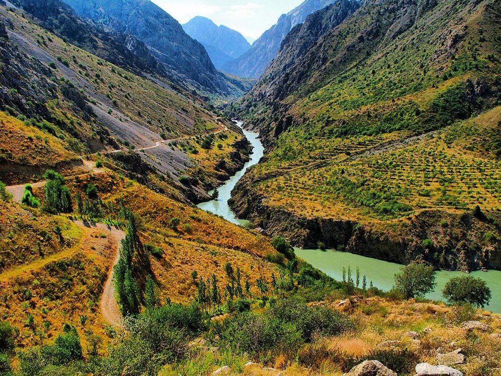 Узбекистан Ташкент природа