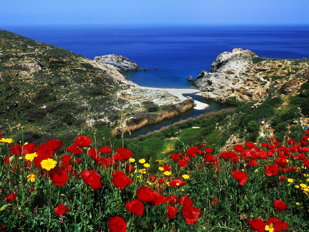Пафос Кипр природа