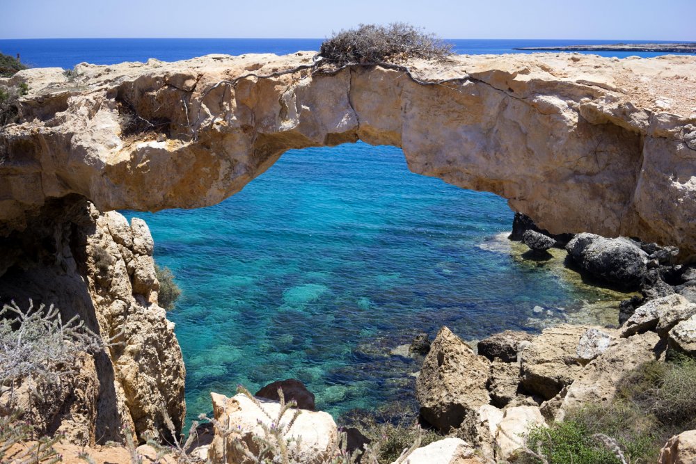 Кипр олива вид на море