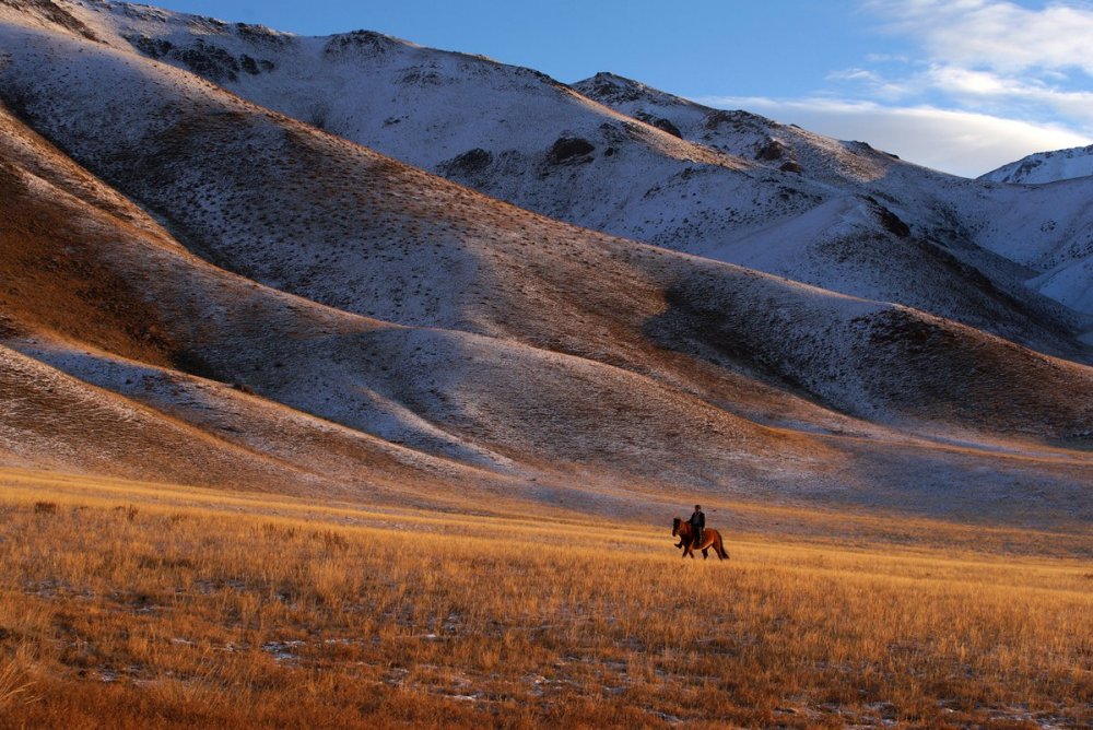 Сентерра Голд Монголия