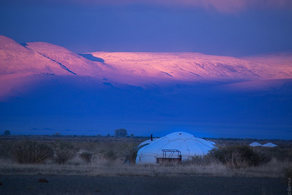 Ночь степь Монголия