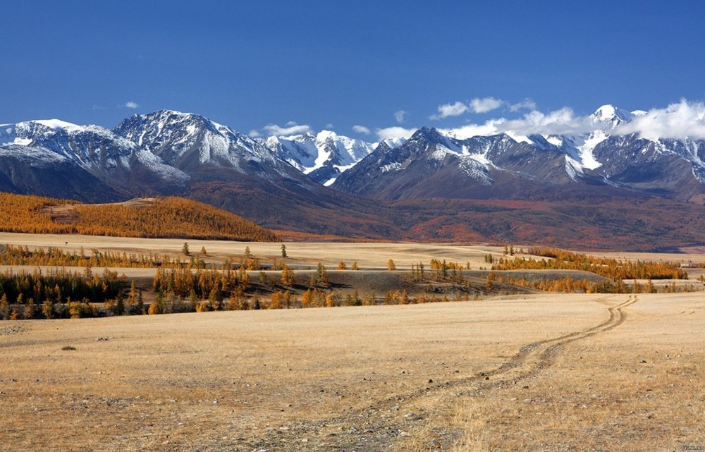 Горы РФ И Монголия