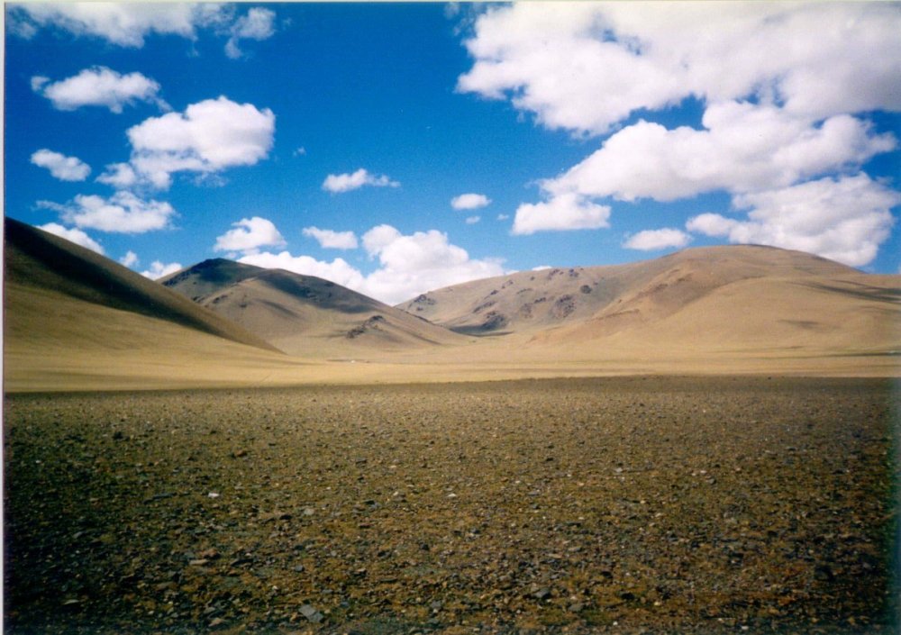 Равнины Монголии