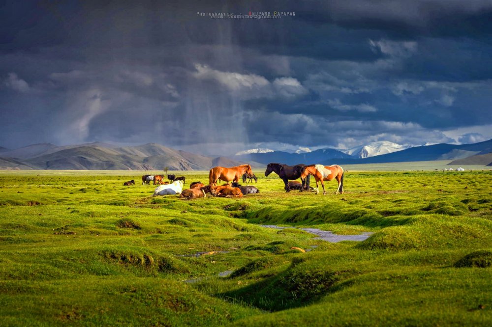 Природа внутренней Монголии