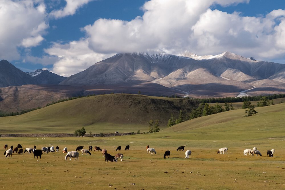 Монголия фото природы и городов