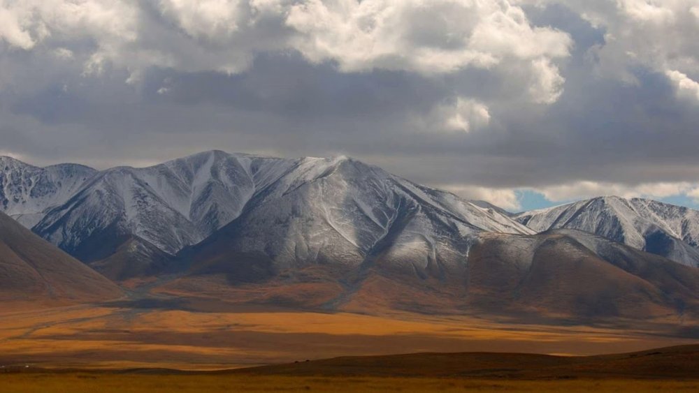 Монголия фон