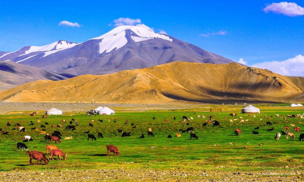 Гобийский район Монголии