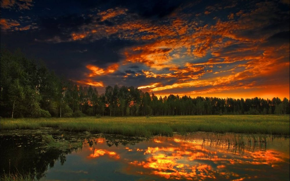 Красивые картинки природы закат неяркий