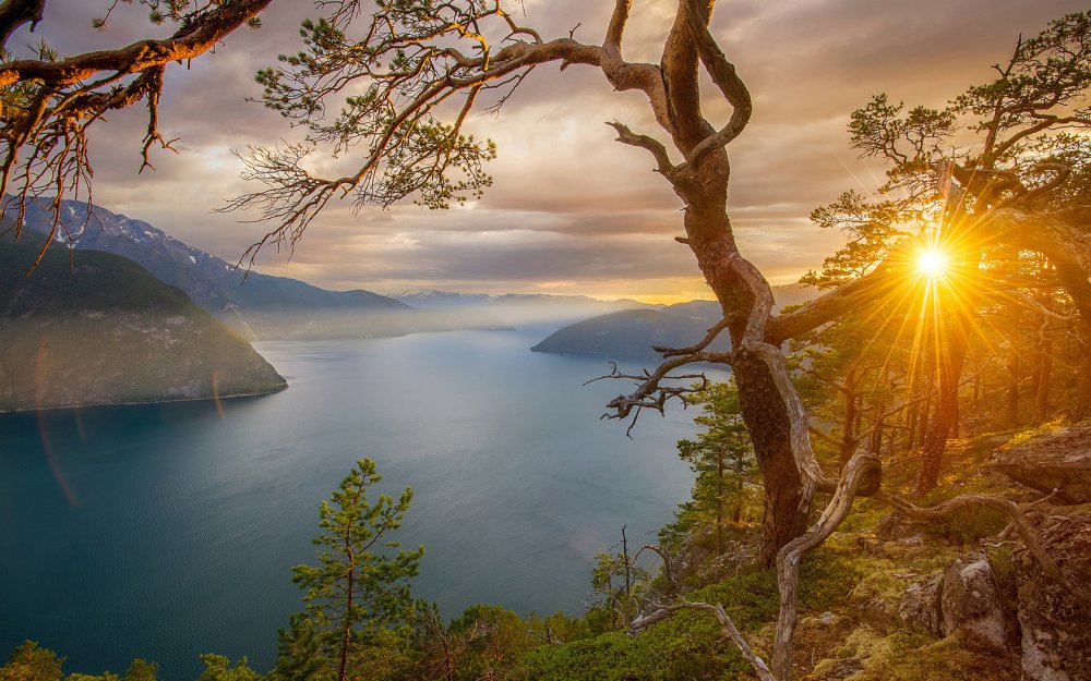 Норвегия фьорды солнце утро Восход
