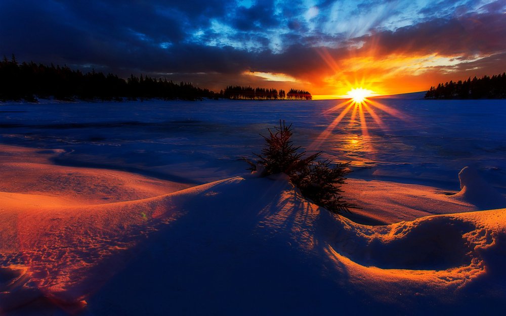 Клевер закат солнца зимой
