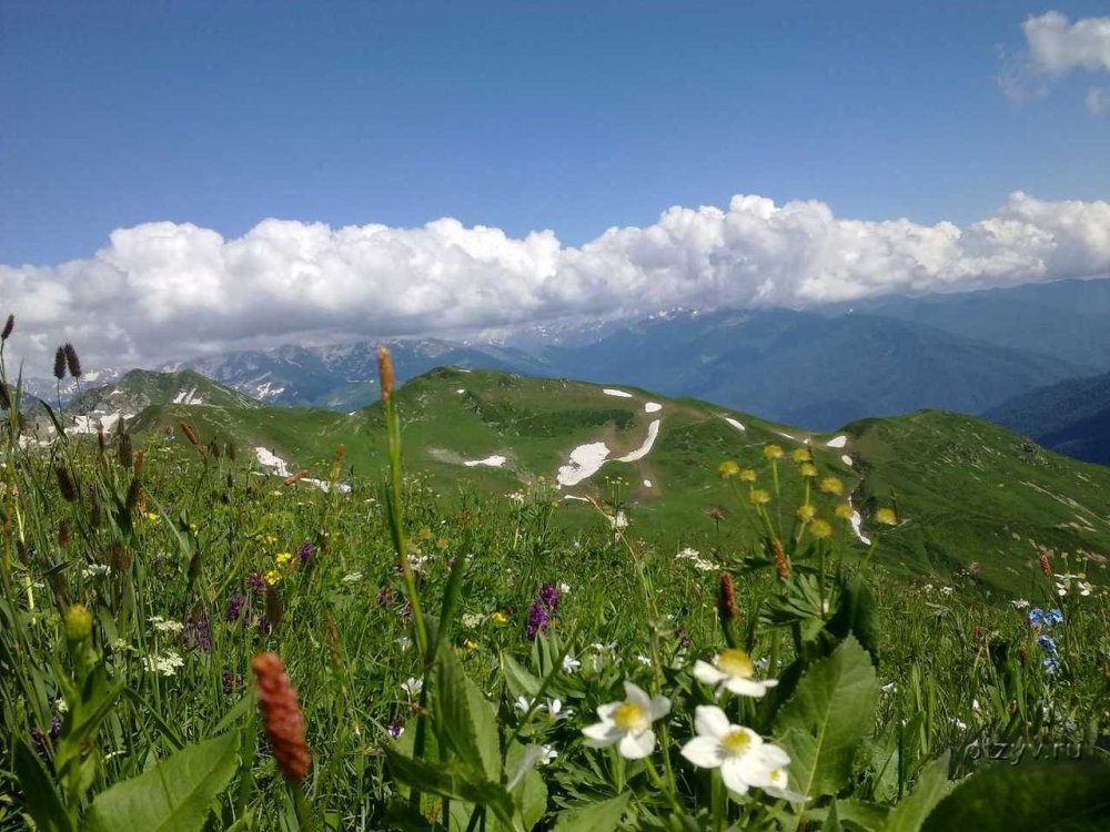 Ауадхара Абхазия Альпийские Луга