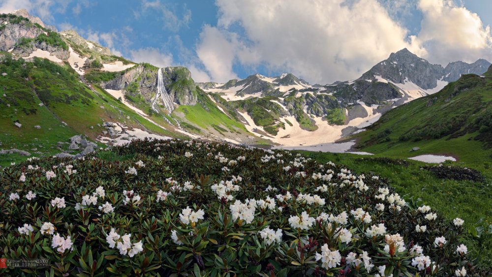 Альпийские Луга Абхазия Мамжичка