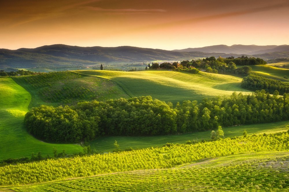 Зеленые поля Тоскана Италия