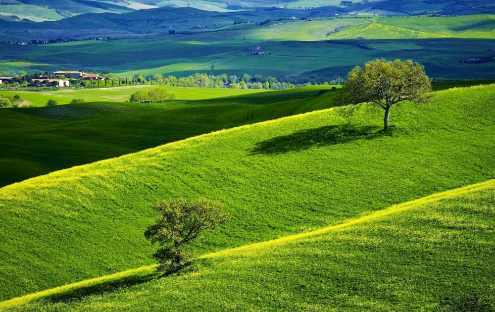 Зеленые поля холмы
