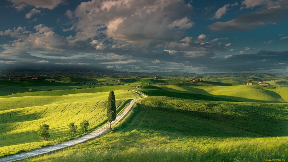 Зеленые поля Тоскана Италия