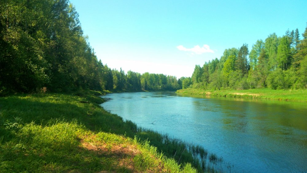 Река Усть Луга