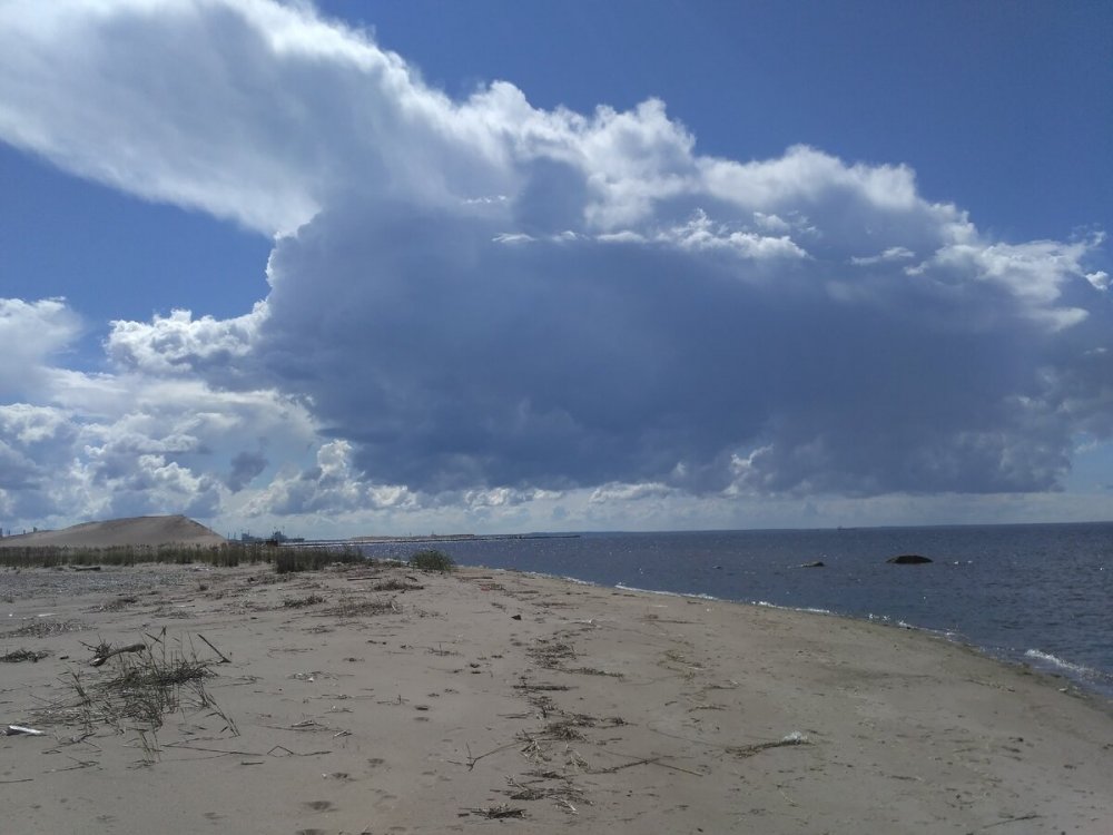 Финский залив Усть-Луга пляж