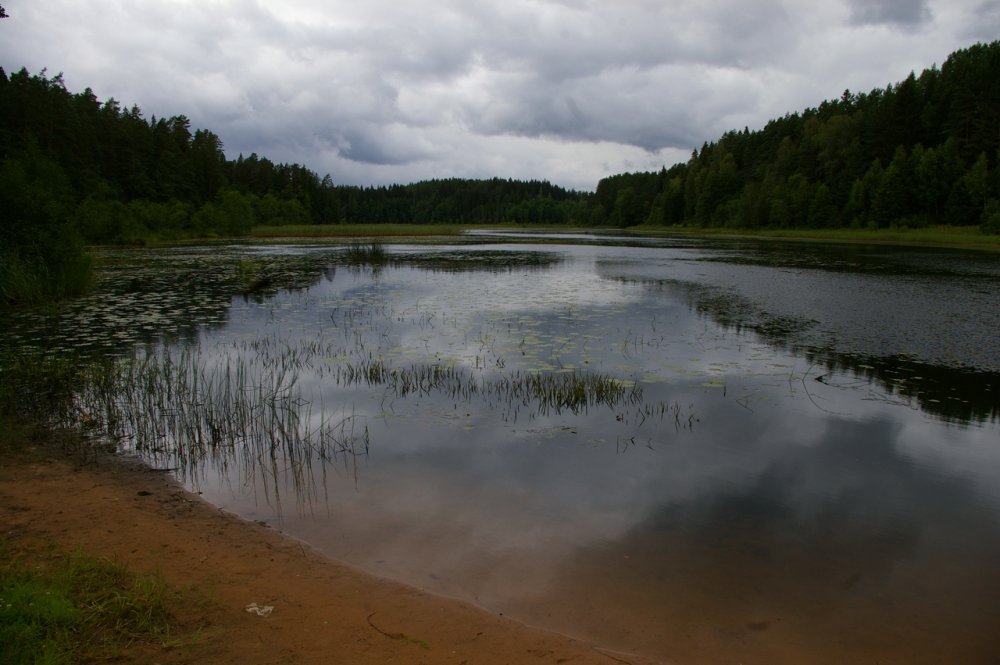 Озеро Омчино Ленинградская область