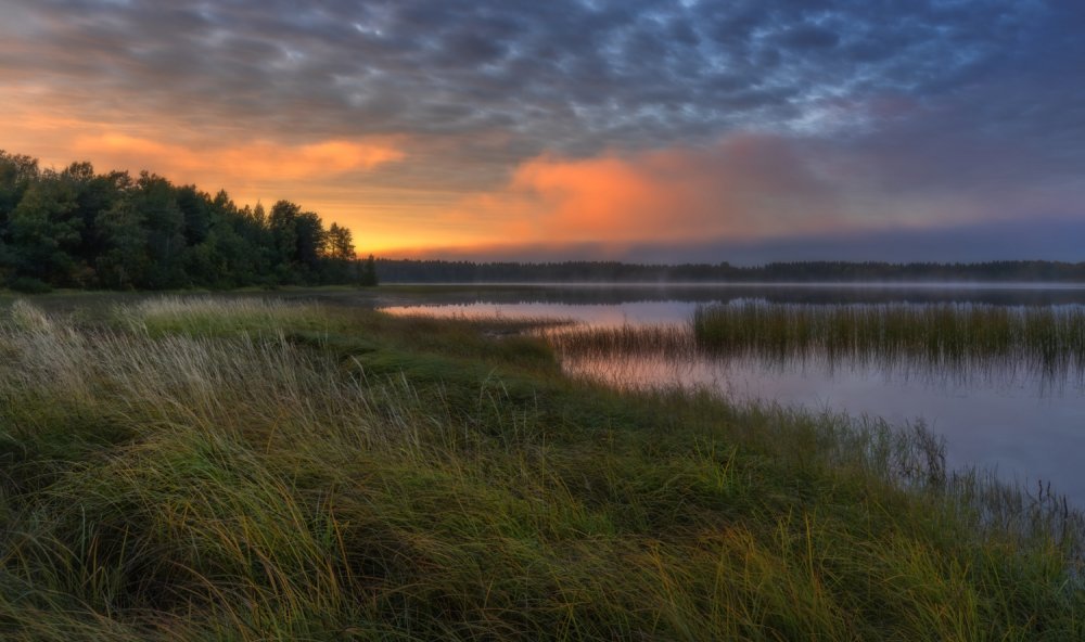 Река Луга в Ленинградской