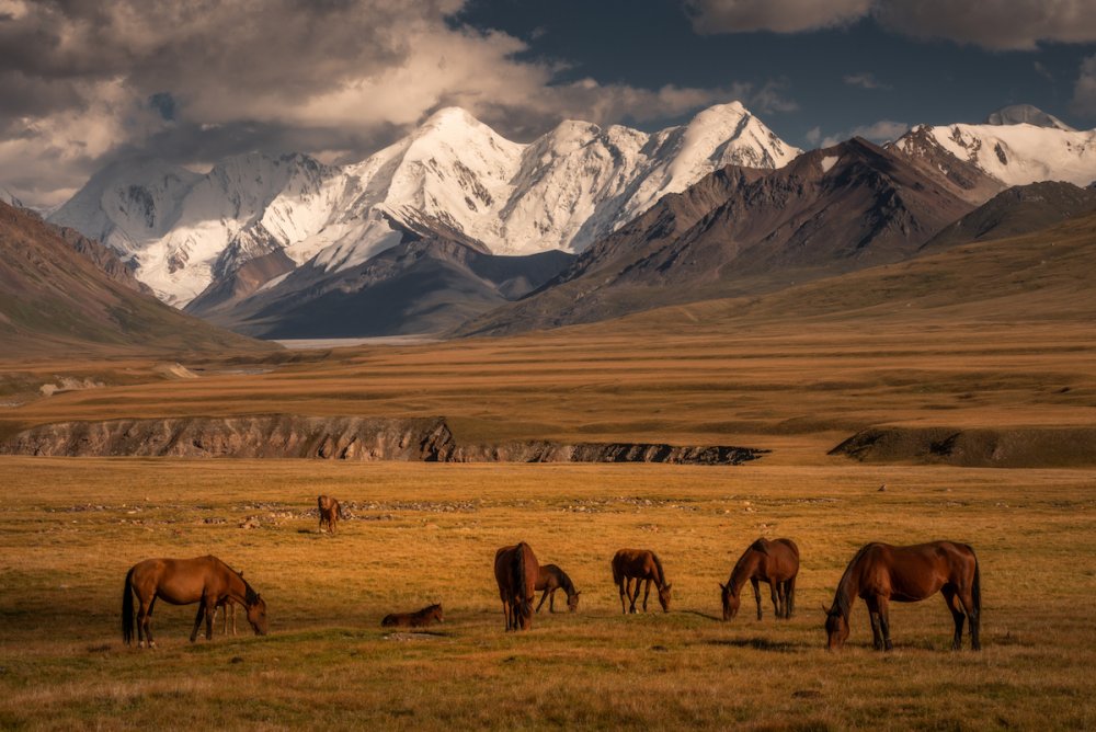 Центральная Азия Киргизия