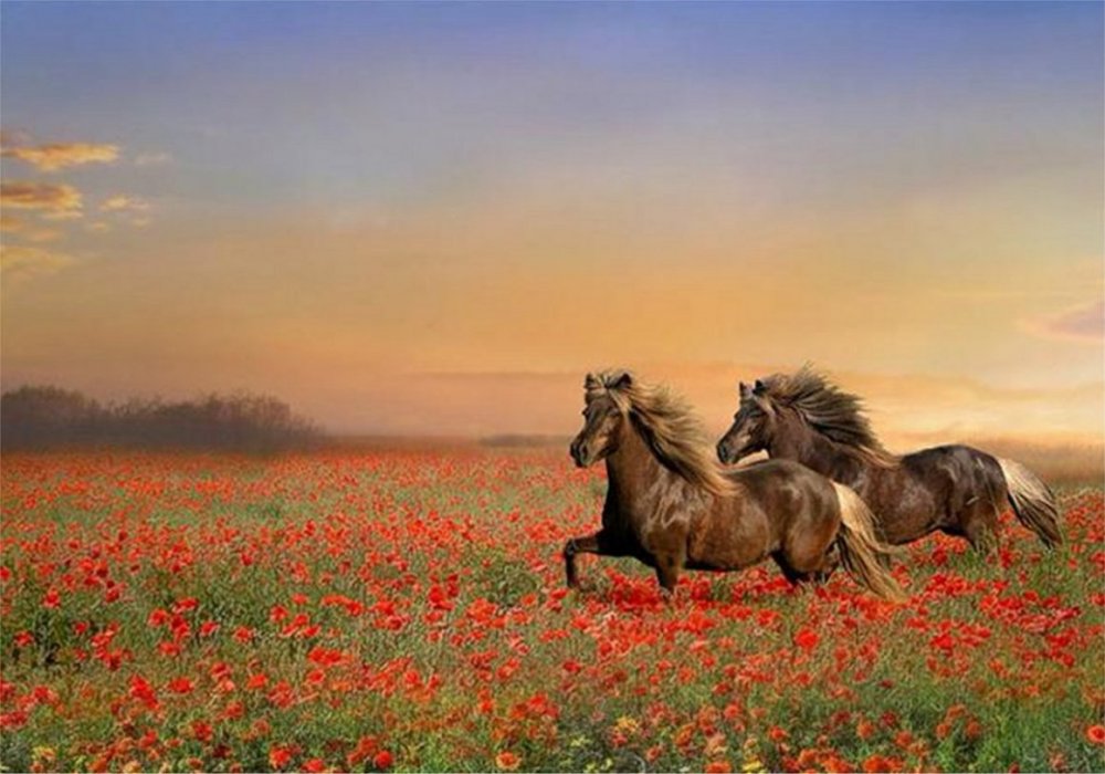 Табун лошадей Калмыкия степь