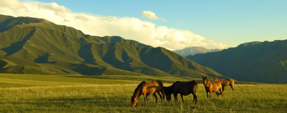 Казахстанские степи горы