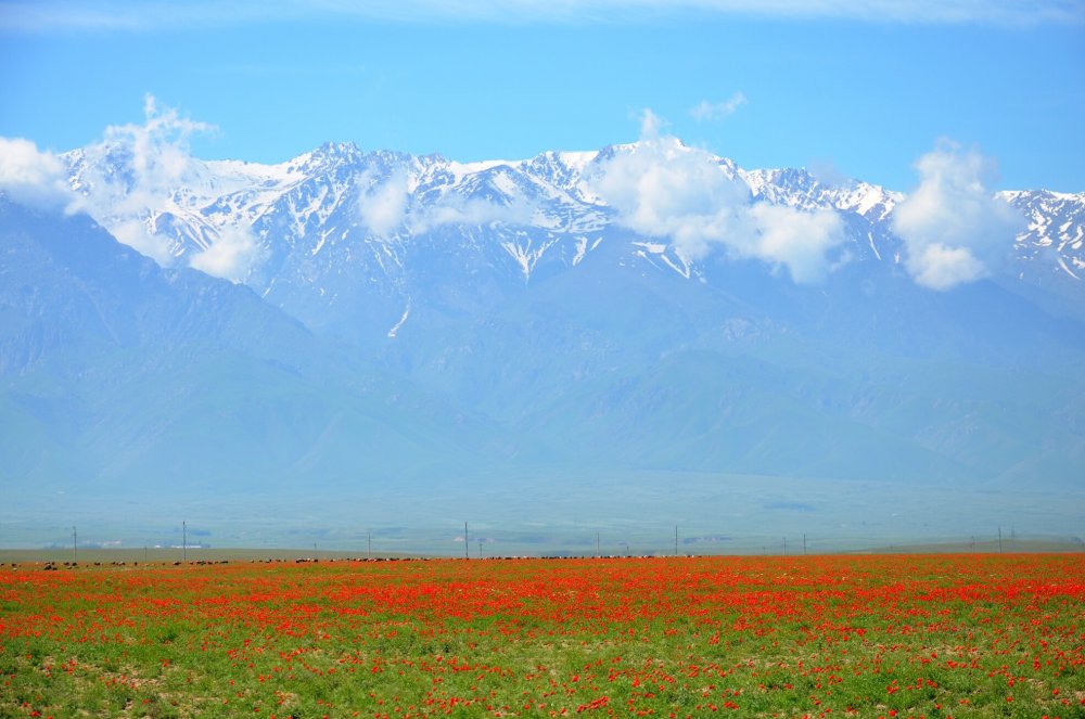 Киргизия горы Манас Таласский Алатау