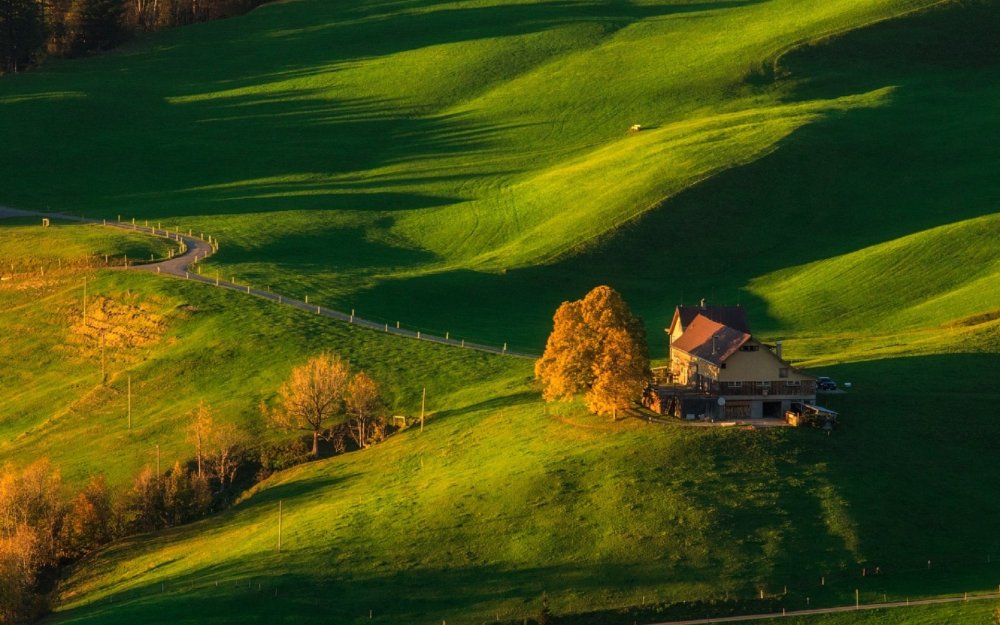 Зеленые Луга Швейцарии