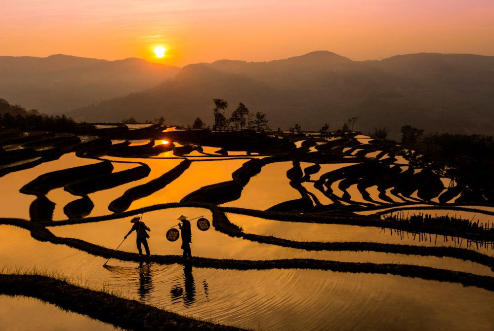Рисовые террасы Хунхэ-Хани (провинция Юньнань)
