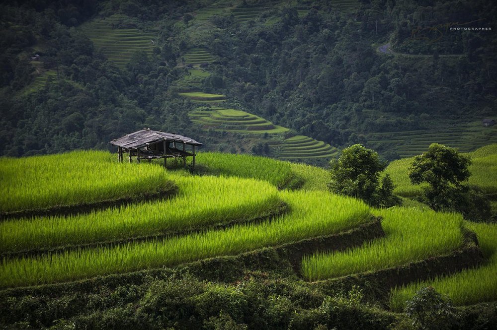 Изумрудная Долина Вьетнам
