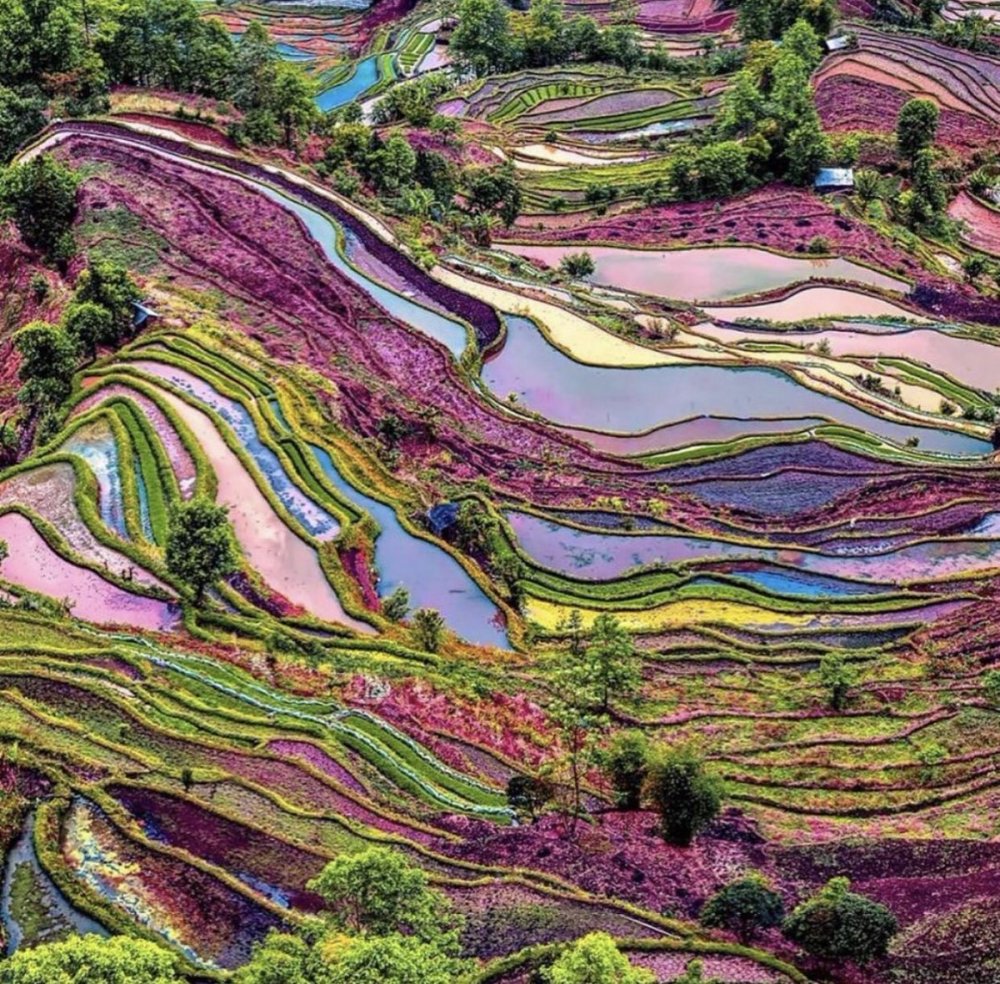 Рисовые террасы Юаньян, Китай
