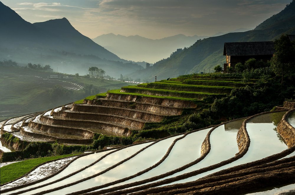 Рисовые террасы в му Кан чай, Вьетнам