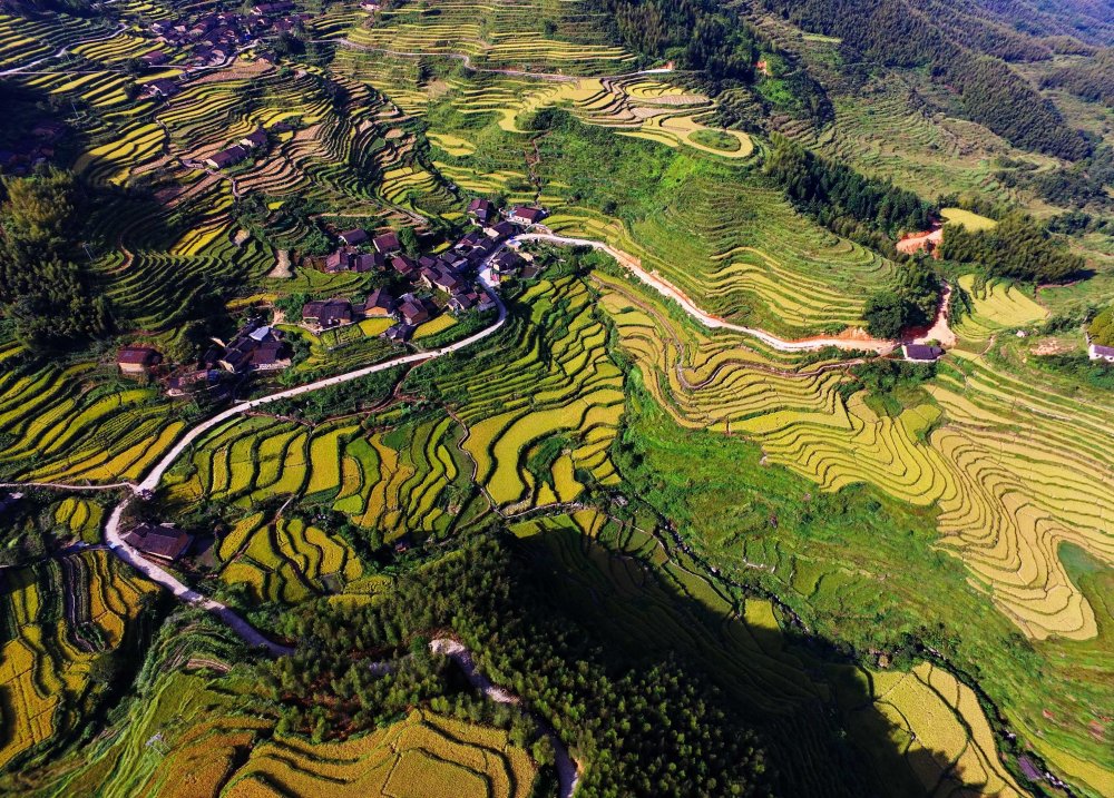 Китайские рисовые поля вид сверху