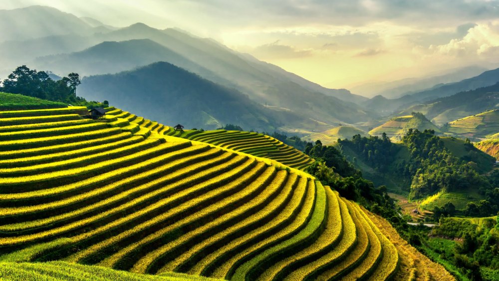 Культурный ландшафт рисовые террасы Хунхэ-Хани