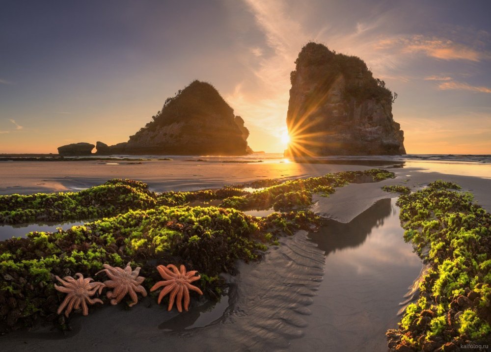 Новая Зеландия берег скала