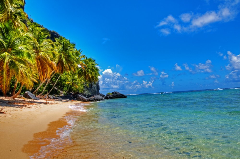 Карибское море пляж Доминикана