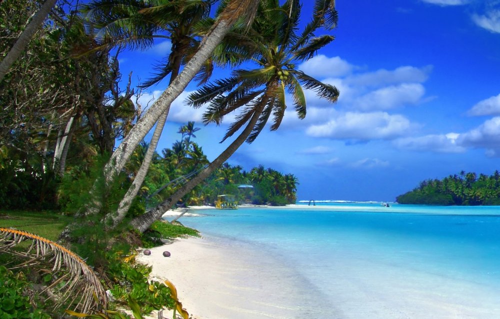 Доминикана пальмы океан
