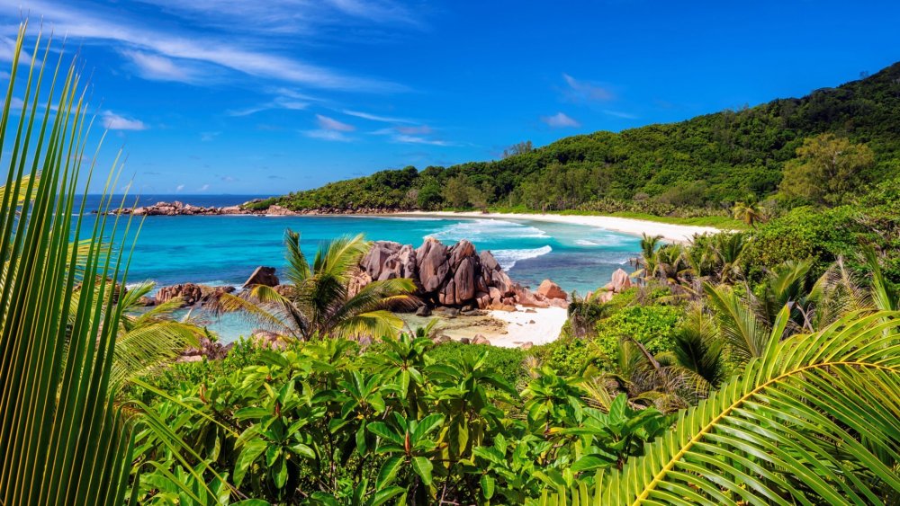 Райский остров: Сейшелы