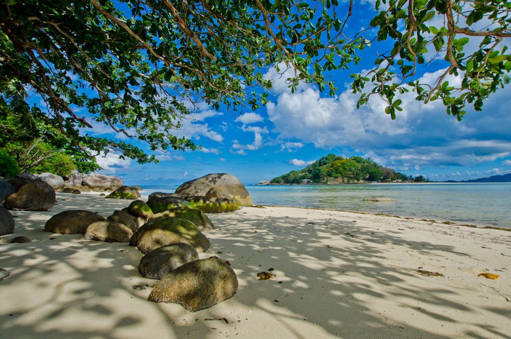 Виктория Сейшельские острова фото 2021