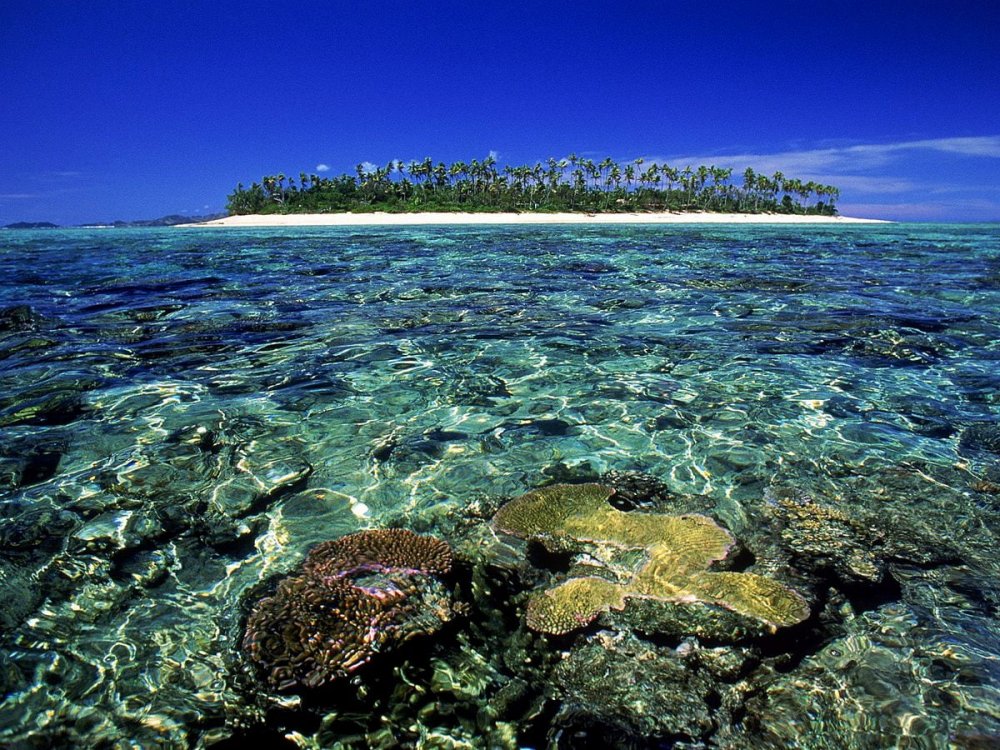 Рифы острова Фиджи