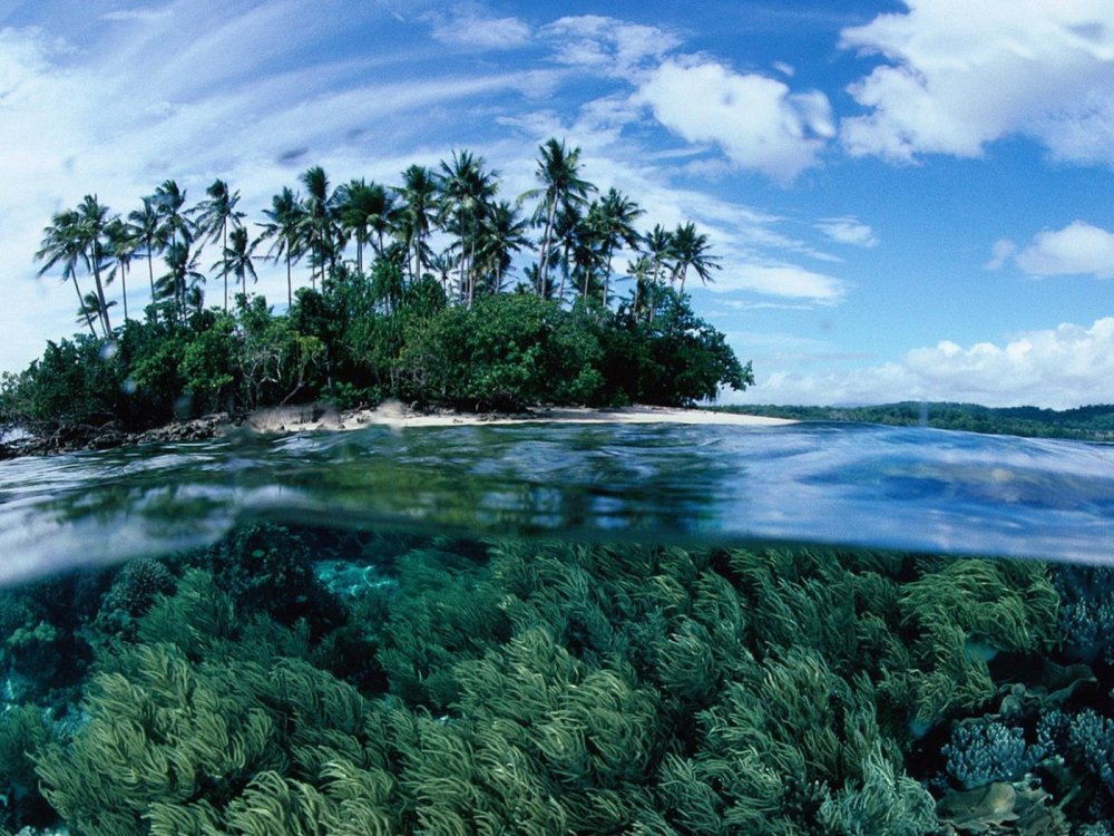 Тувалу, Палау