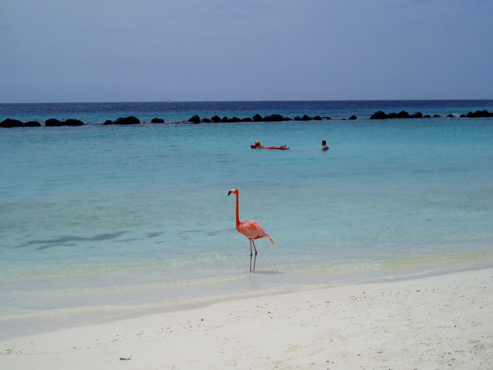 Остров Фламинго Доминикана