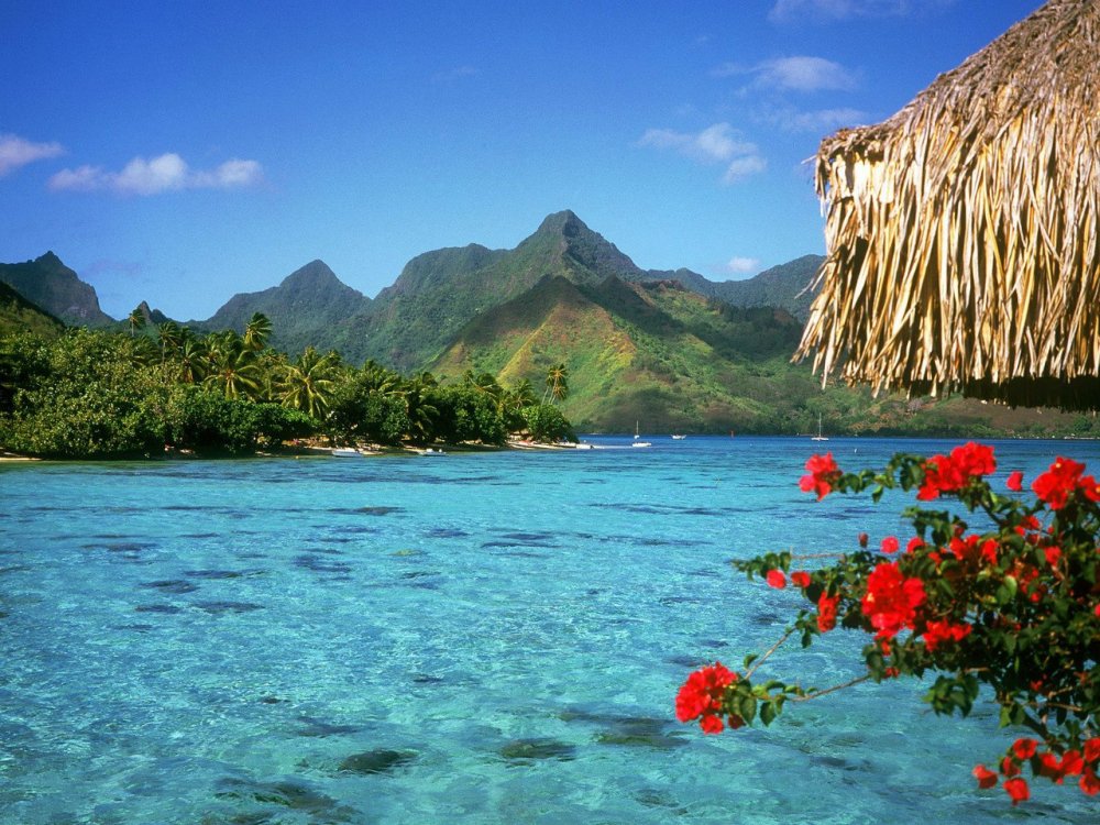 Полинезия природа красивое фото