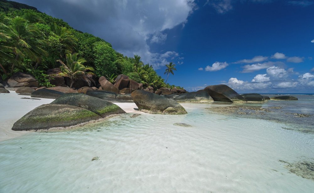 Острова: Мадагаскар, Сейшельские, Коморские