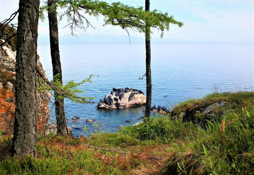 Озеро Байкал Ушканьи острова