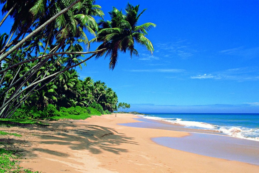 Индия остров Шри Ланка