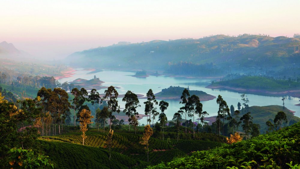 Чай Шри-Ланка Цейлон остров