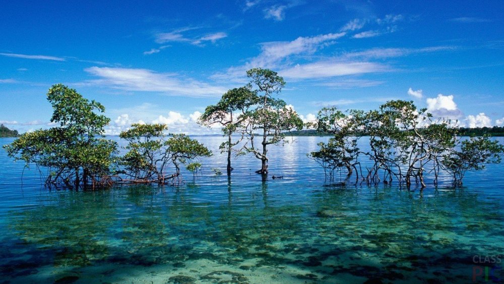 Андаманские и Никобарские острова
