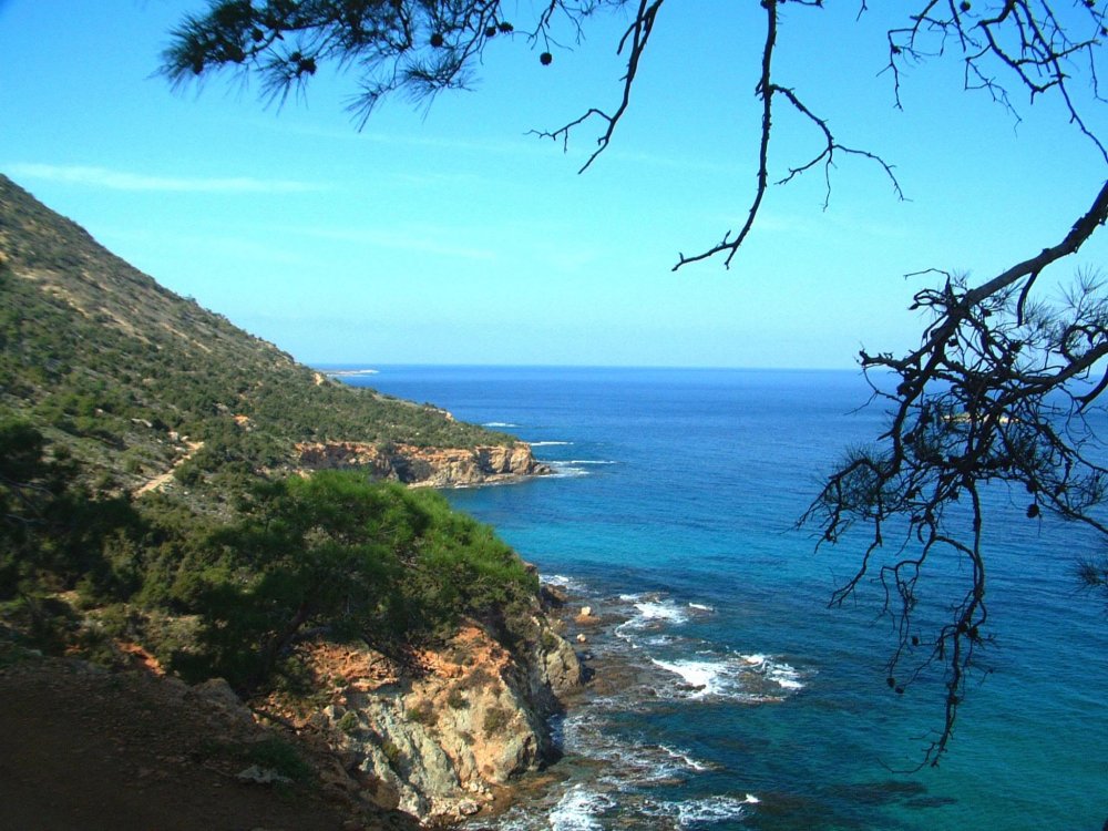 Кипр полуостров Акамас отели